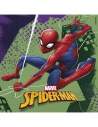 HappyTaart.nl Spiderman Marvel Superheld Verjaardagsdecoratiepakket - 3