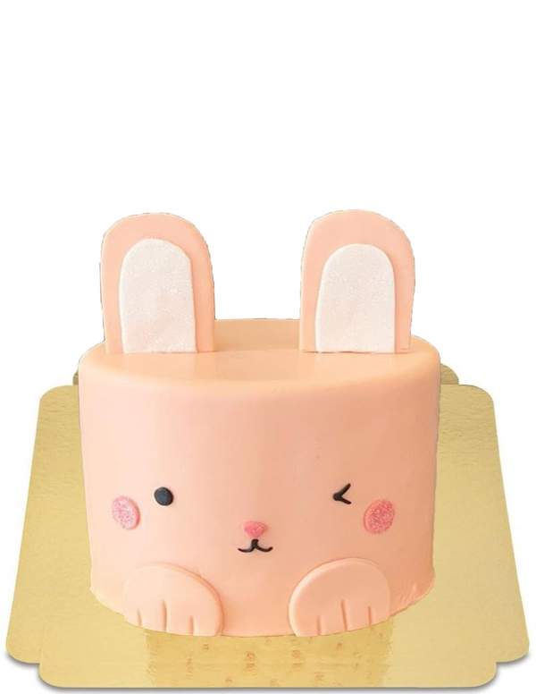  Vegan kawaii pink bunny cake, glutenvrij - 1