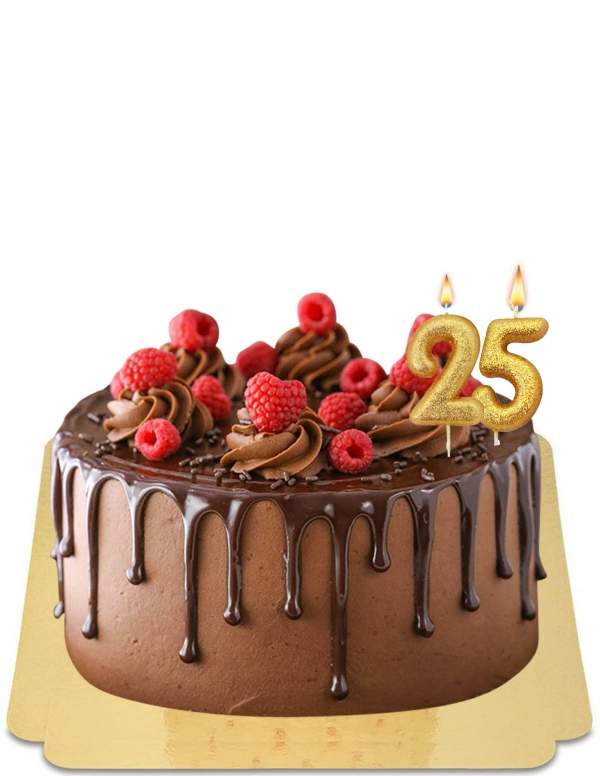  Chocolade drip cake gedecoreerd met verse frambozen en vegan chocolade meringues, glutenvrij - 266