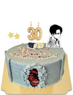 Vegan Shineki Attack on Titan Cake, glutenvrij - 120