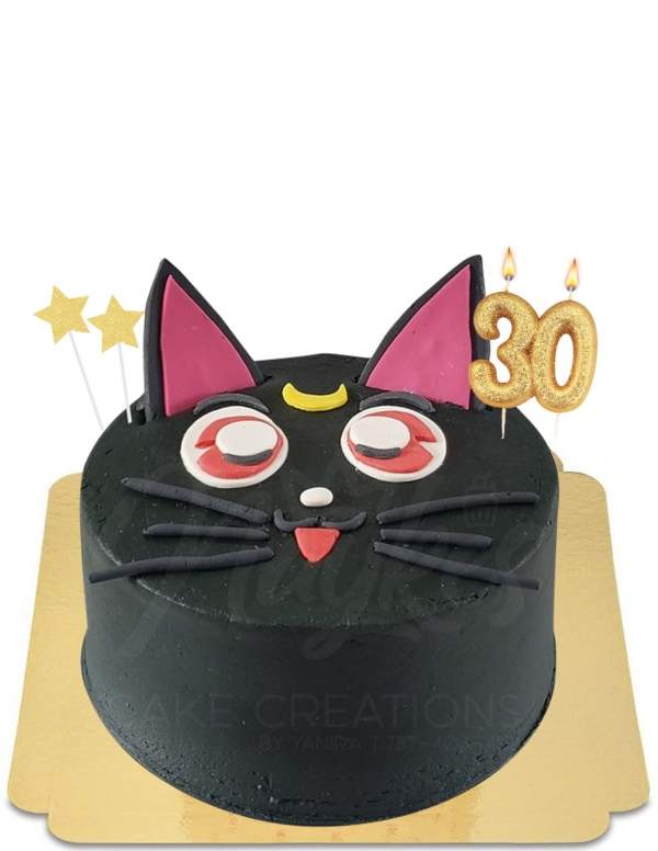  Vegan kitten Sailor Moon cake, glutenvrij - 62