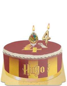 HappyTaart.nl Harry Potter Chocolate Frog Cake Eivrij, Vegetarisch en Glutenvrij - 28